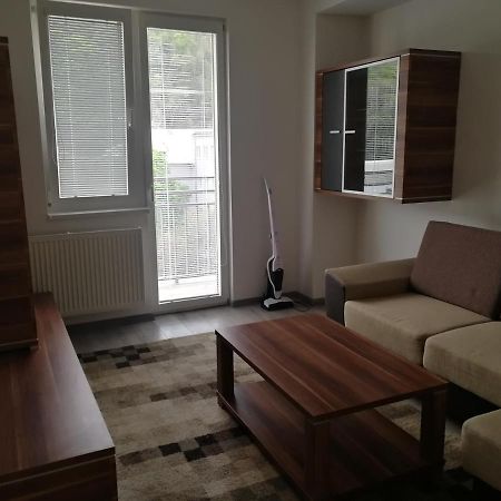 Apartmán Apartman Trenčín Kültér fotó