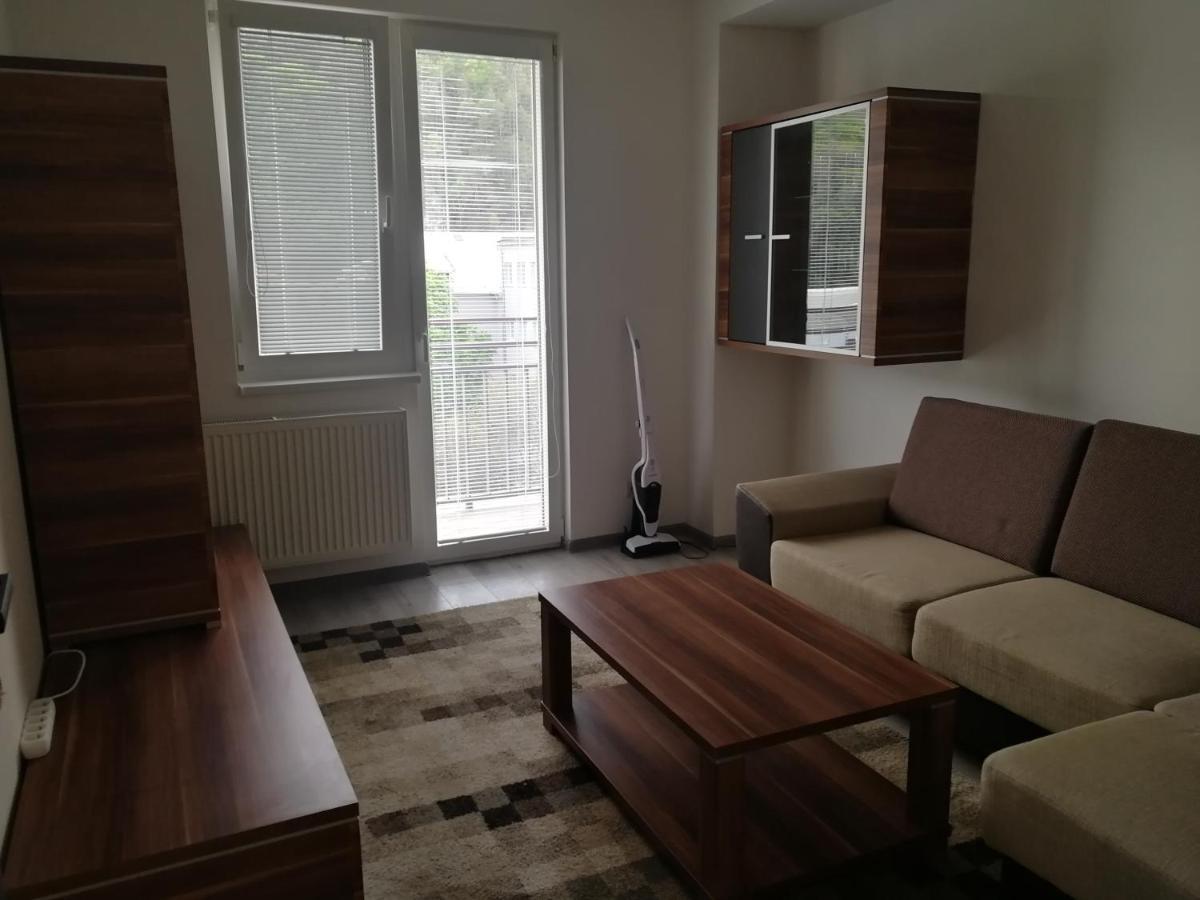 Apartmán Apartman Trenčín Kültér fotó